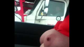 австралийский лис дразнит дальнобойщиков