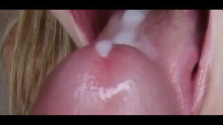 Fiksacija: Počasi Hypno Petelin Čaščenja Trener 3