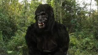 Re Dong&amp;#039;s 40 oz di Rimbalzo di!