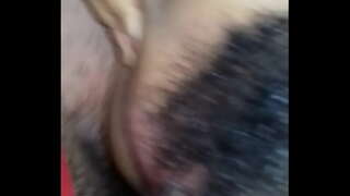 ���ागि गधा aflor