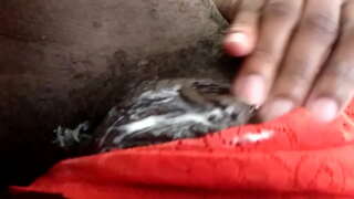 Мојот прв вид