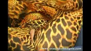 ˯�친 스판덱스 소녀 놀리는 성별