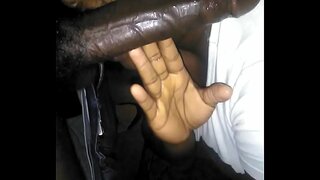 La prânz cap de pe canapea