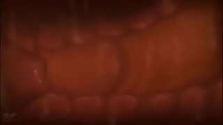 ���ंदर गर्भ