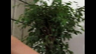 Angletè - Madivin Sèks - sèn 8 - ekstrè 2