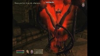 טאַפּערל פינצטערניש.אַווי